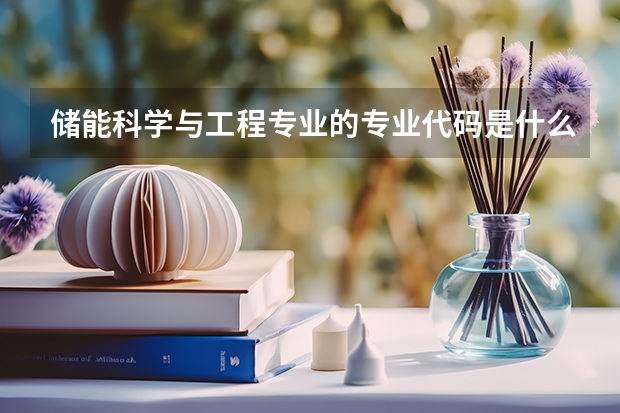 储能科学与工程专业的专业代码是什么
