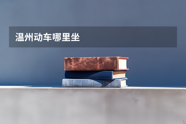 温州动车哪里坐