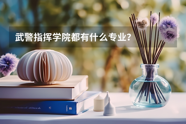 武警指挥学院都有什么专业？