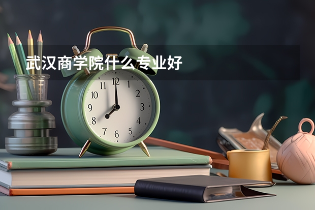 武汉商学院什么专业好