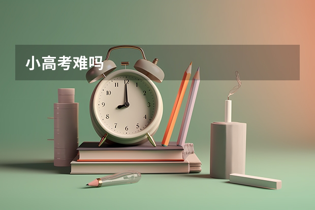 小高考难吗