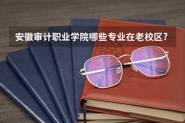 安徽审计职业学院哪些专业在老校区/?哪些在伈校区？