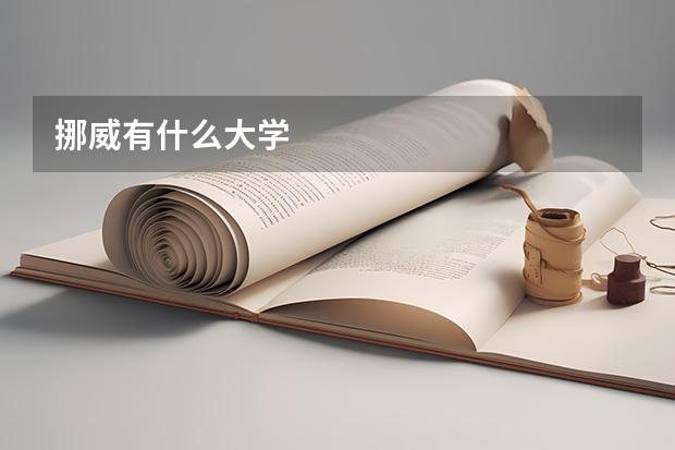 挪威有什么大学