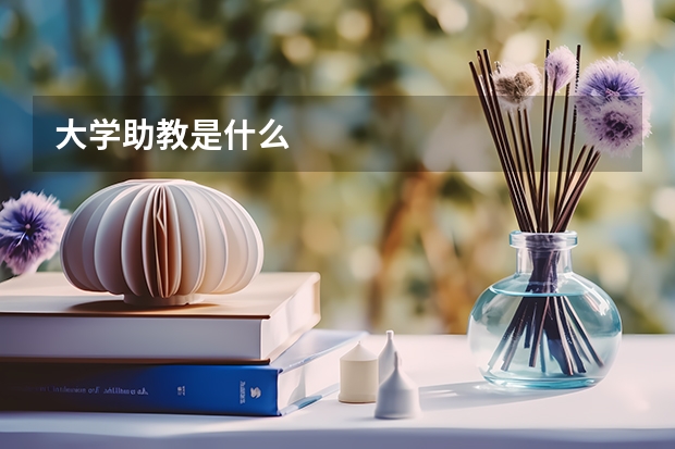大学助教是什么