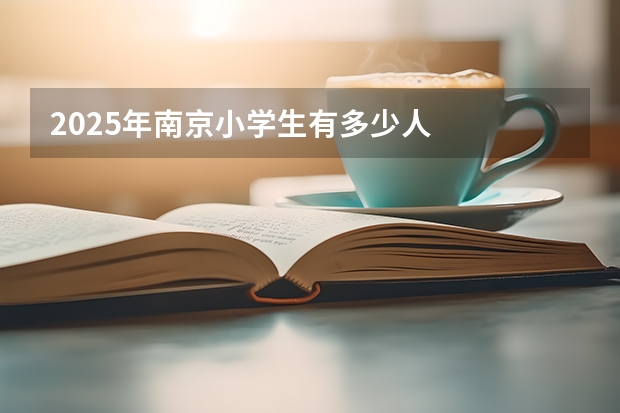 2025年南京小学生有多少人