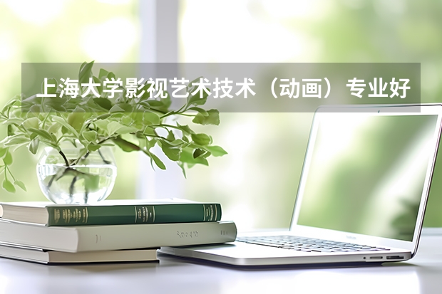 上海大学影视艺术技术（动画）专业好吗？