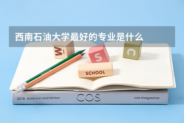 西南石油大学最好的专业是什么