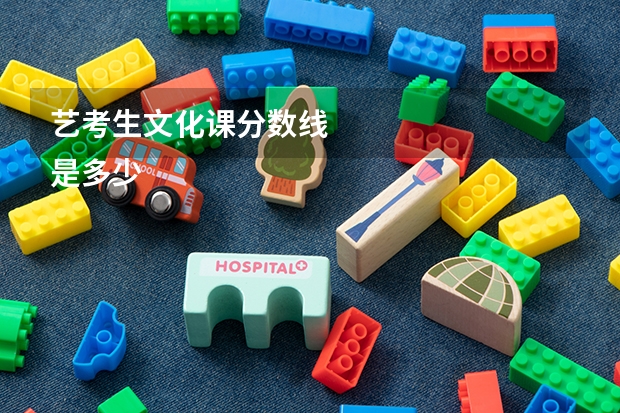 艺考生文化课分数线
是多少