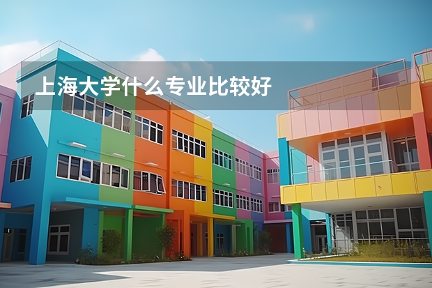 上海大学什么专业比较好