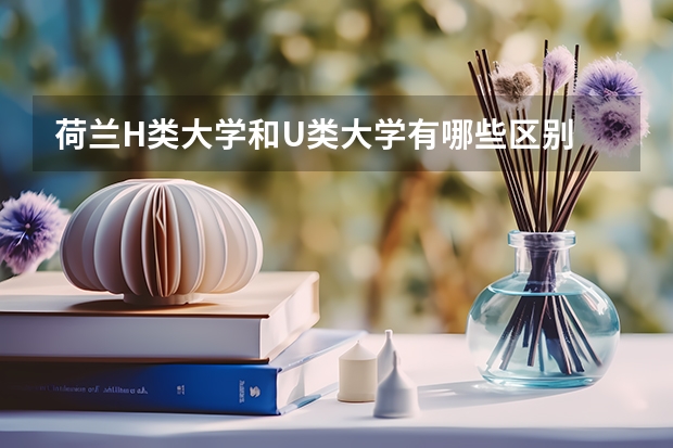 荷兰H类大学和U类大学有哪些区别
