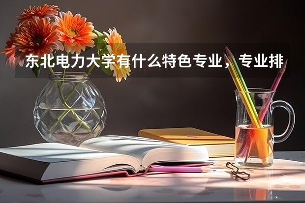 东北电力大学有什么特色专业，专业排名如何