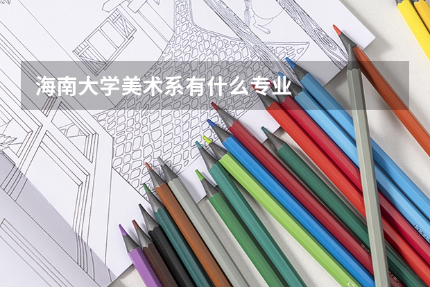 海南大学美术系有什么专业