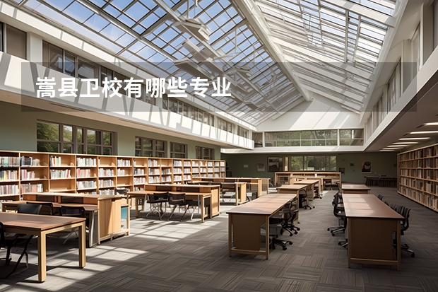 嵩县卫校有哪些专业