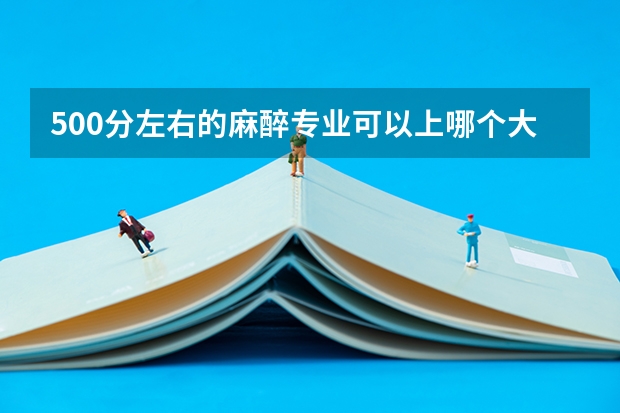 500分左右的麻醉专业可以上哪个大学