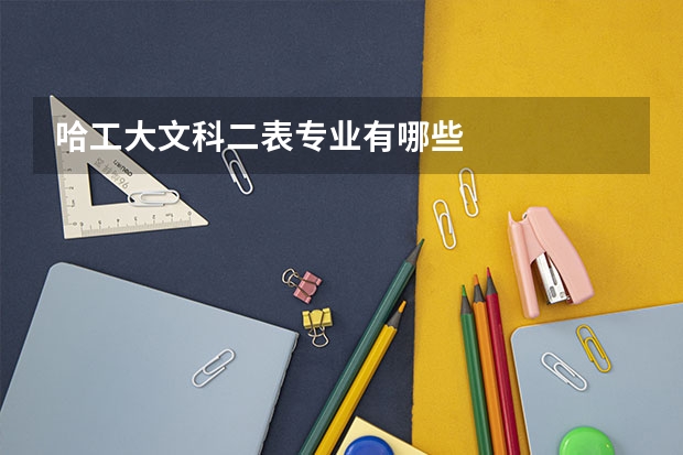 哈工大文科二表专业有哪些