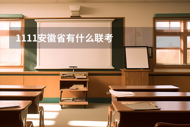 11.11安徽省有什么联考