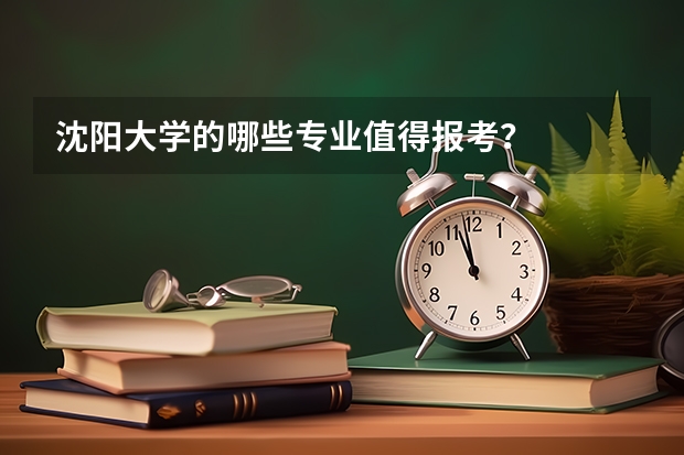 沈阳大学的哪些专业值得报考？
