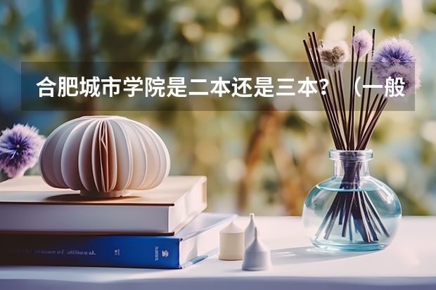合肥城市学院是二本还是三本？（一般三本大学录取分数线）