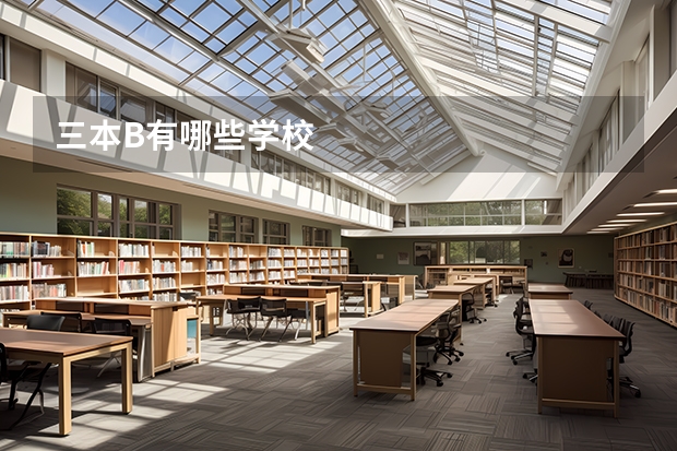 三本B有哪些学校