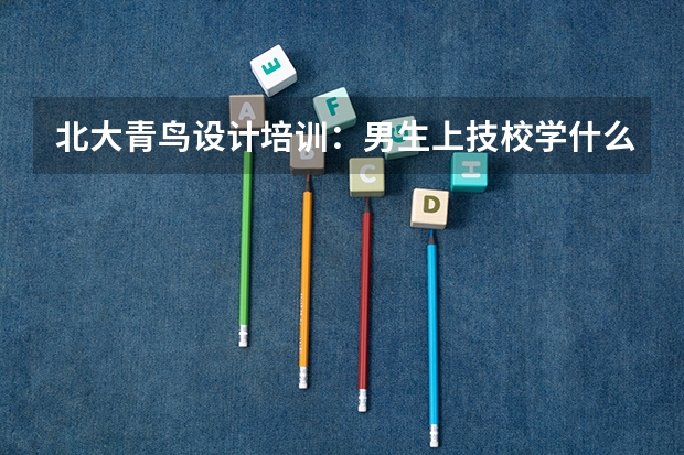 北大青鸟设计培训：男生上技校学什么好？