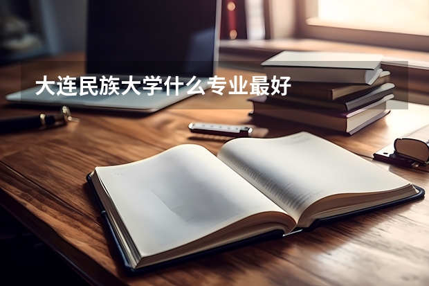 大连民族大学什么专业最好