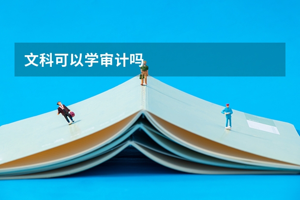 文科可以学审计吗
