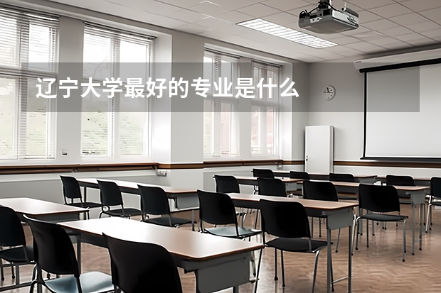 辽宁大学最好的专业是什么