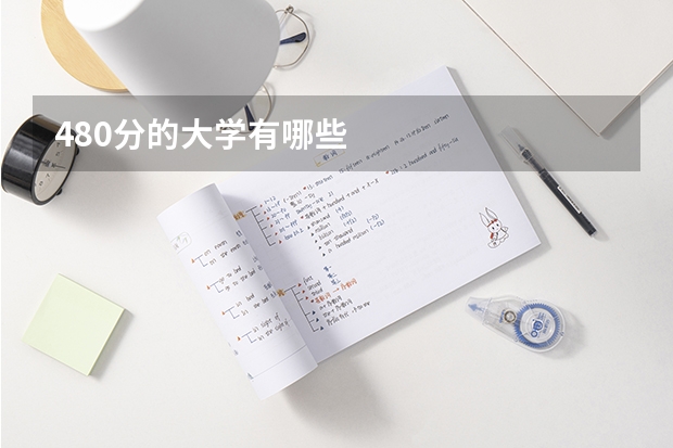 480分的大学有哪些
