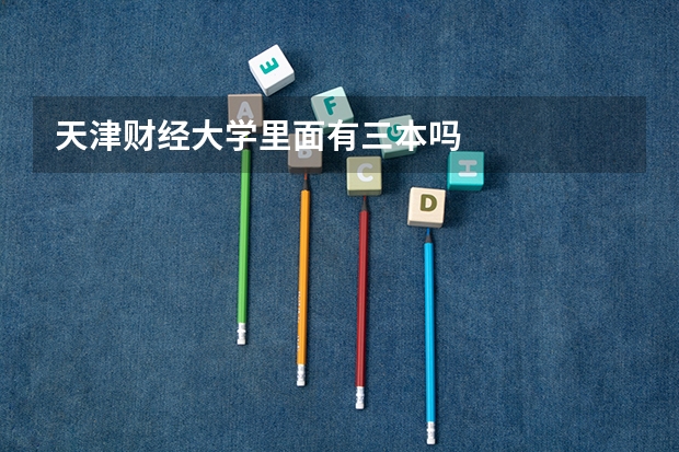 天津财经大学里面有三本吗