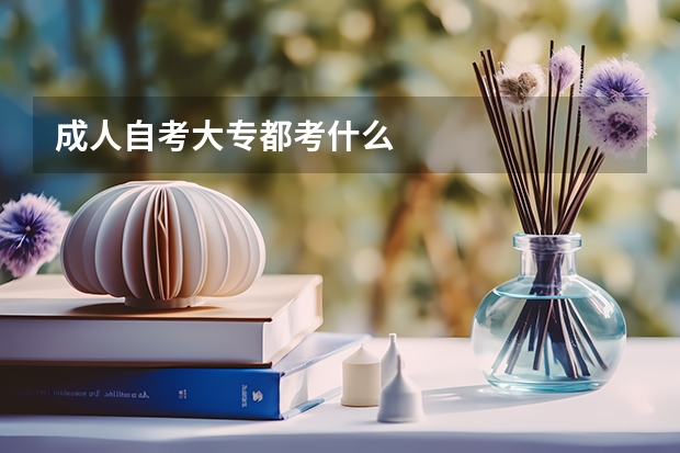 成人自考大专都考什么