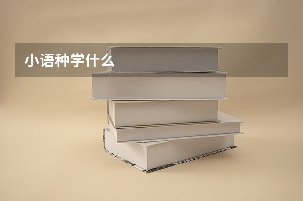 小语种学什么