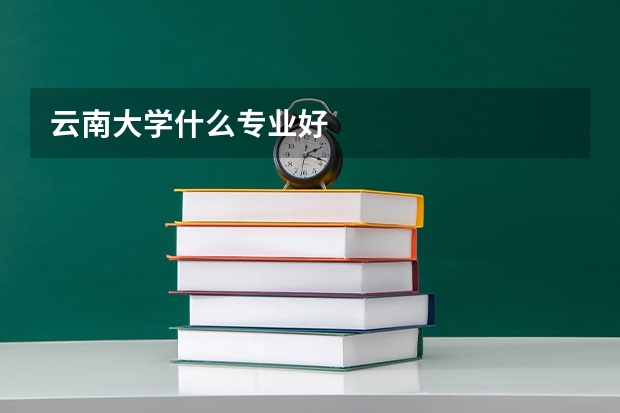 云南大学什么专业好