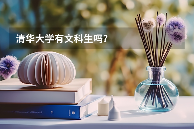 清华大学有文科生吗？