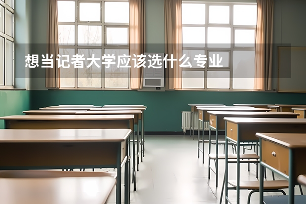 想当记者大学应该选什么专业