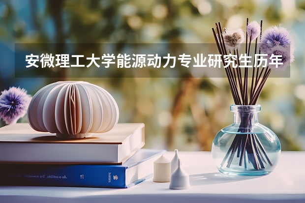安微理工大学能源动力专业研究生历年招生人数 安微工业大学可有电气工程与自动化研究生学院