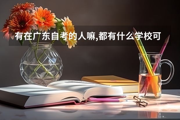 有在广东自考的人嘛,都有什么学校可以自考,有小自考嘛,有