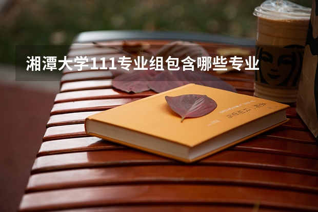 湘潭大学111专业组包含哪些专业