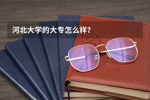 河北大学的大专怎么样?