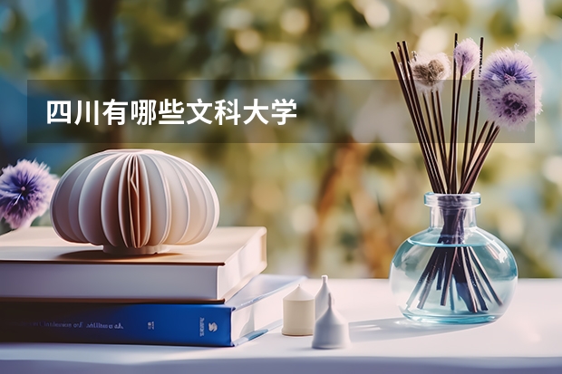 四川有哪些文科大学