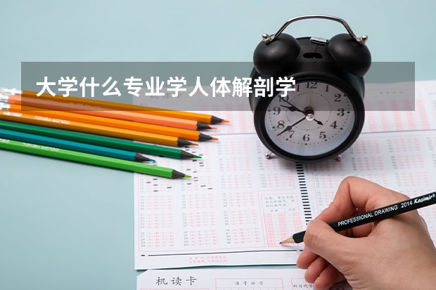 大学什么专业学人体解剖学