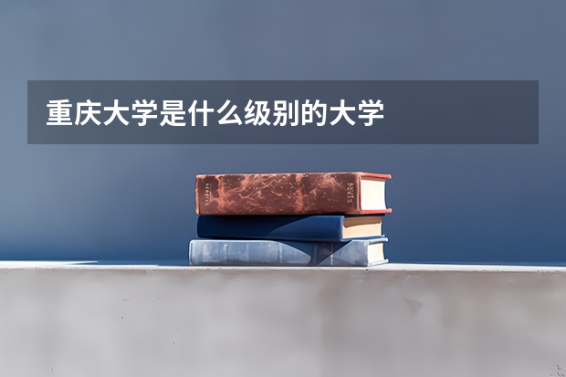 重庆大学是什么级别的大学