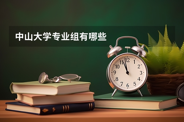 中山大学专业组有哪些