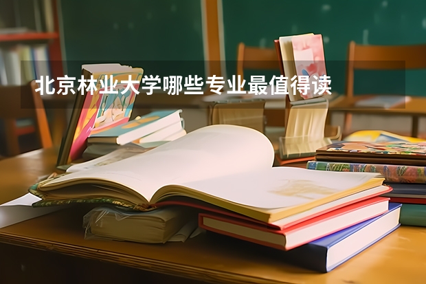 北京林业大学哪些专业最值得读