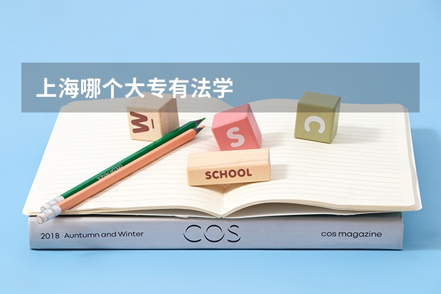 上海哪个大专有法学