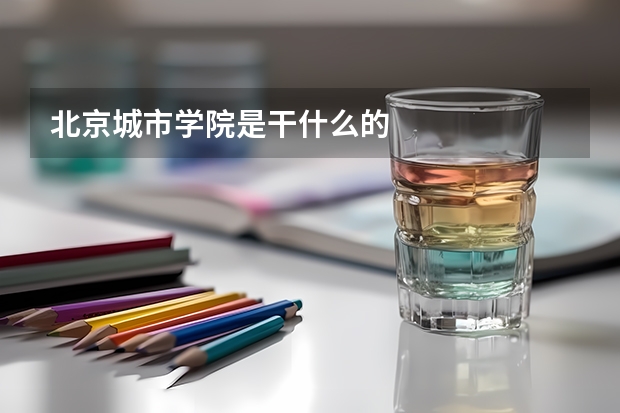 北京城市学院是干什么的
