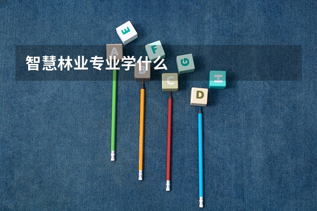 智慧林业专业学什么