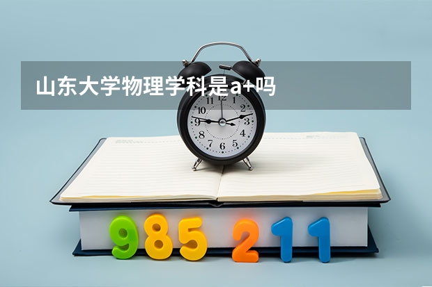 山东大学物理学科是a+吗