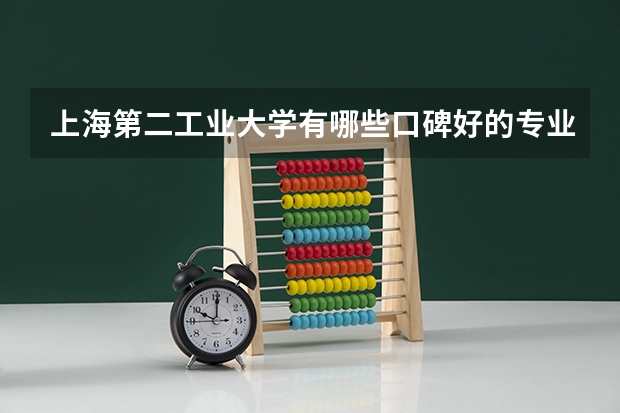 上海第二工业大学有哪些口碑好的专业值得就读？