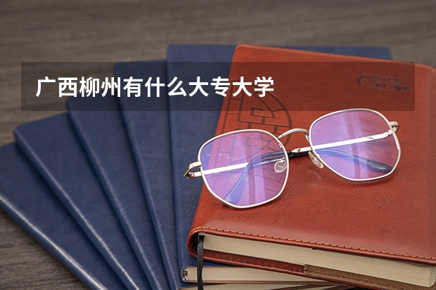 广西柳州有什么大专大学