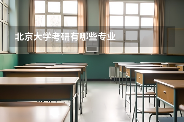 北京大学考研有哪些专业